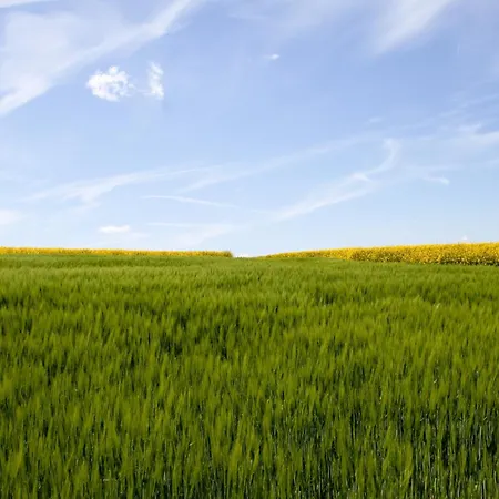 Szálloda Landgasthof Zur Post 3*