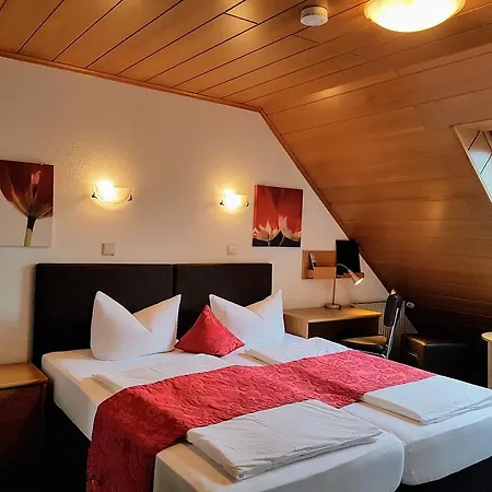 Hotel Landgasthof Zur Post 3*