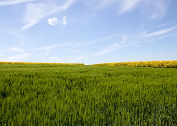 ホテル Landgasthof Zur Post 3*